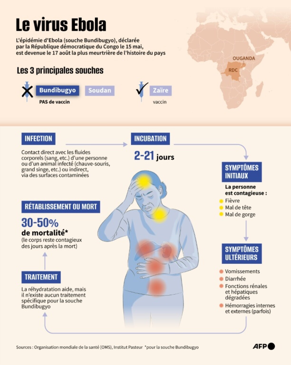 Présentation du virus Ebola, après que la République démocratique du Congo a déclaré une épidémie (souche Bundibugyo) le 15 mai, devenue la plus meurtrière de l'histoire du pays le 17 août