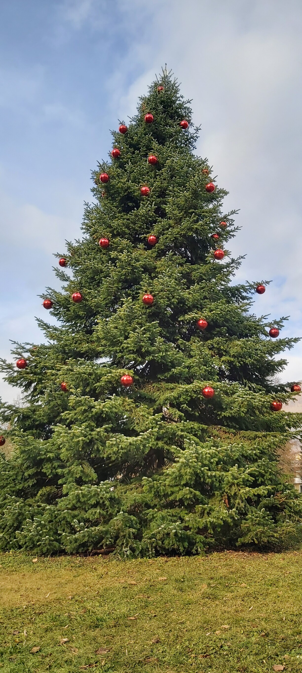 Ok...we just said size doesn't matter. Maybe it does? MASSIVE!