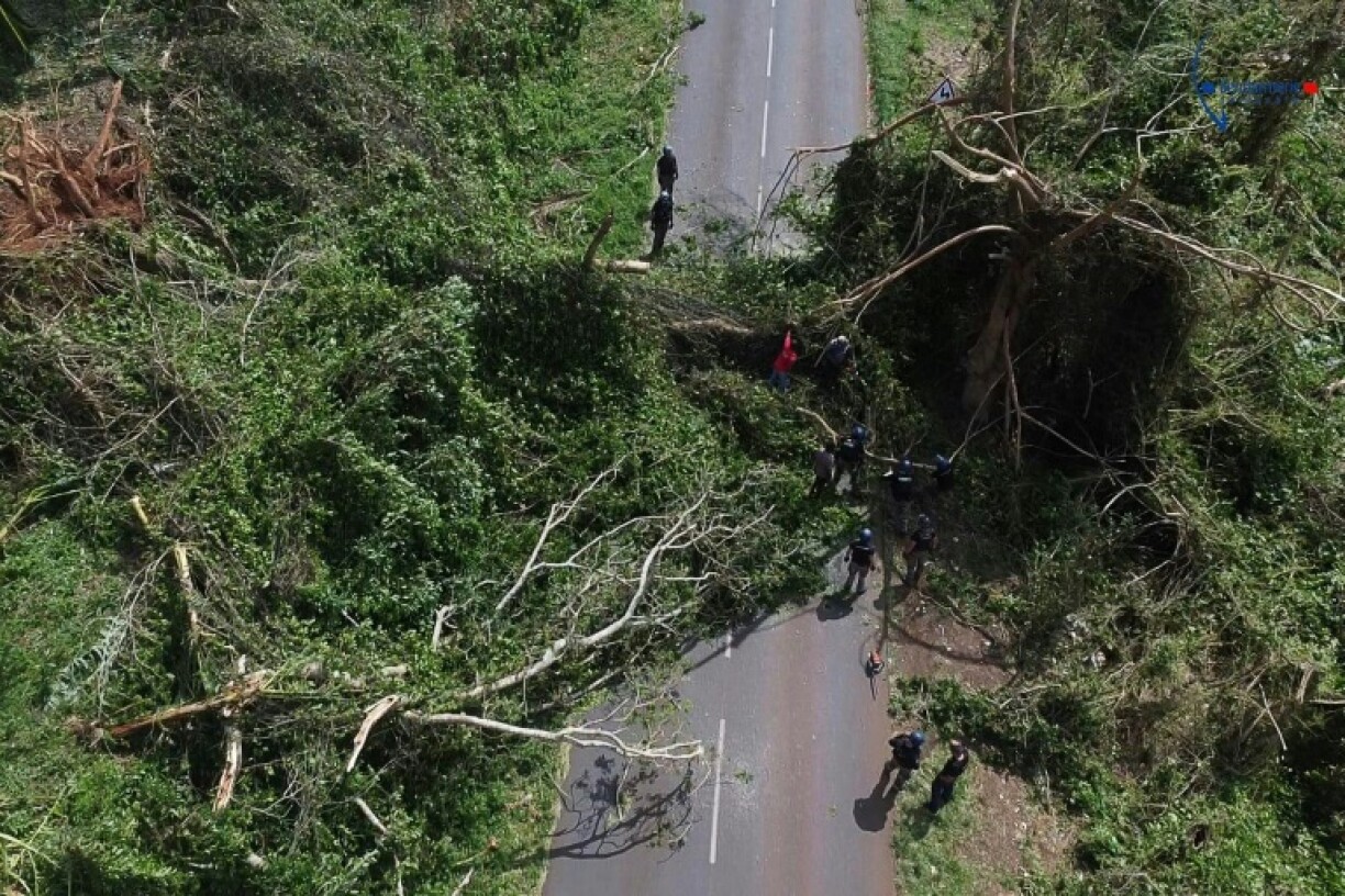 Trees were ripped out as the cyclone hit Mayotte