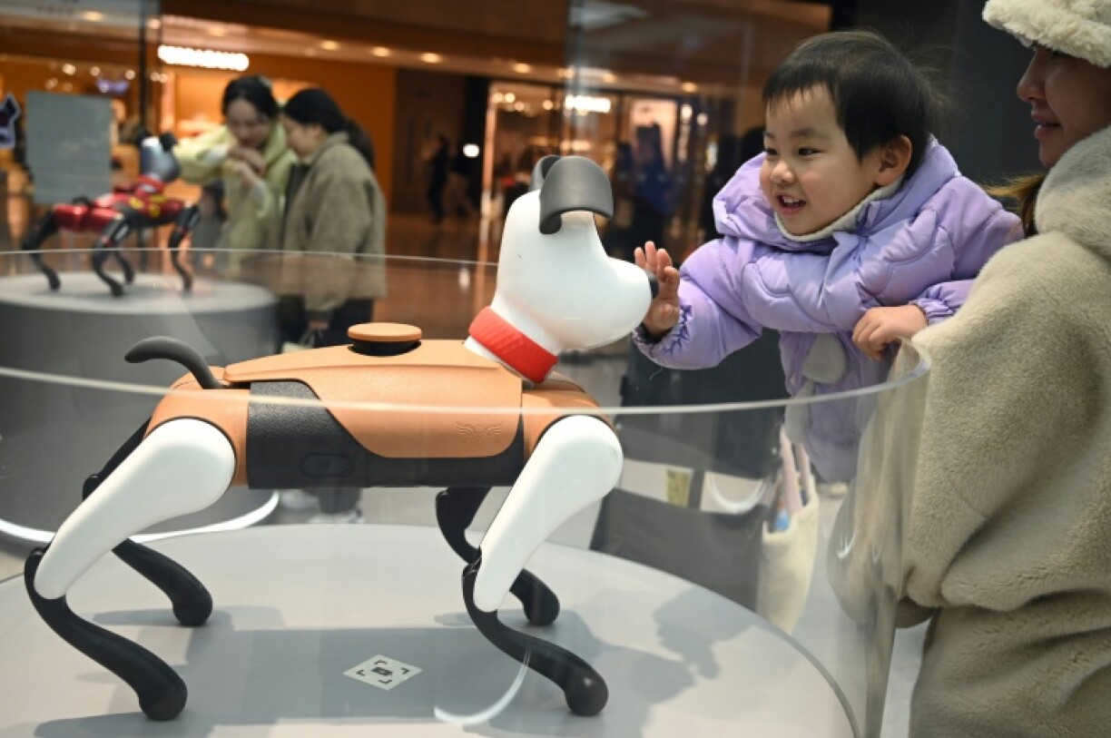 A child interacting with BabyAlpha, an AI pet dog at a Weilan store in Nanjing, in China's eastern Jiangsu province