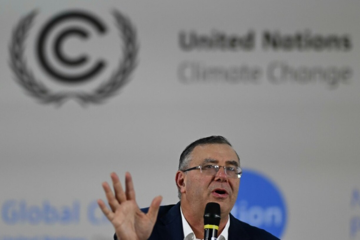 TotalEnergies CEO Patrick Pouyanne is one of the few oil executives at COP30