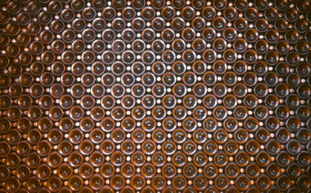 The accused expressed regret over the scam