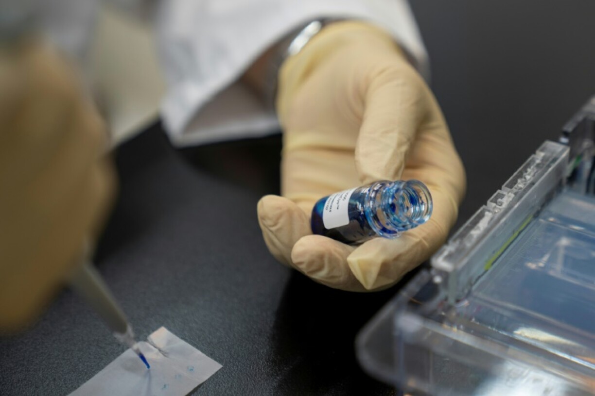 Scientists are building a genetic database of agarwood trees in Hong Kong in the hopes of staving off population decline