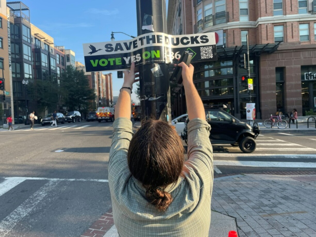 Mike Accardi, a volunteer with the animal rights group Pro Animal DC, which says the process of making foie gras in cruel as it involves force feeding ducks