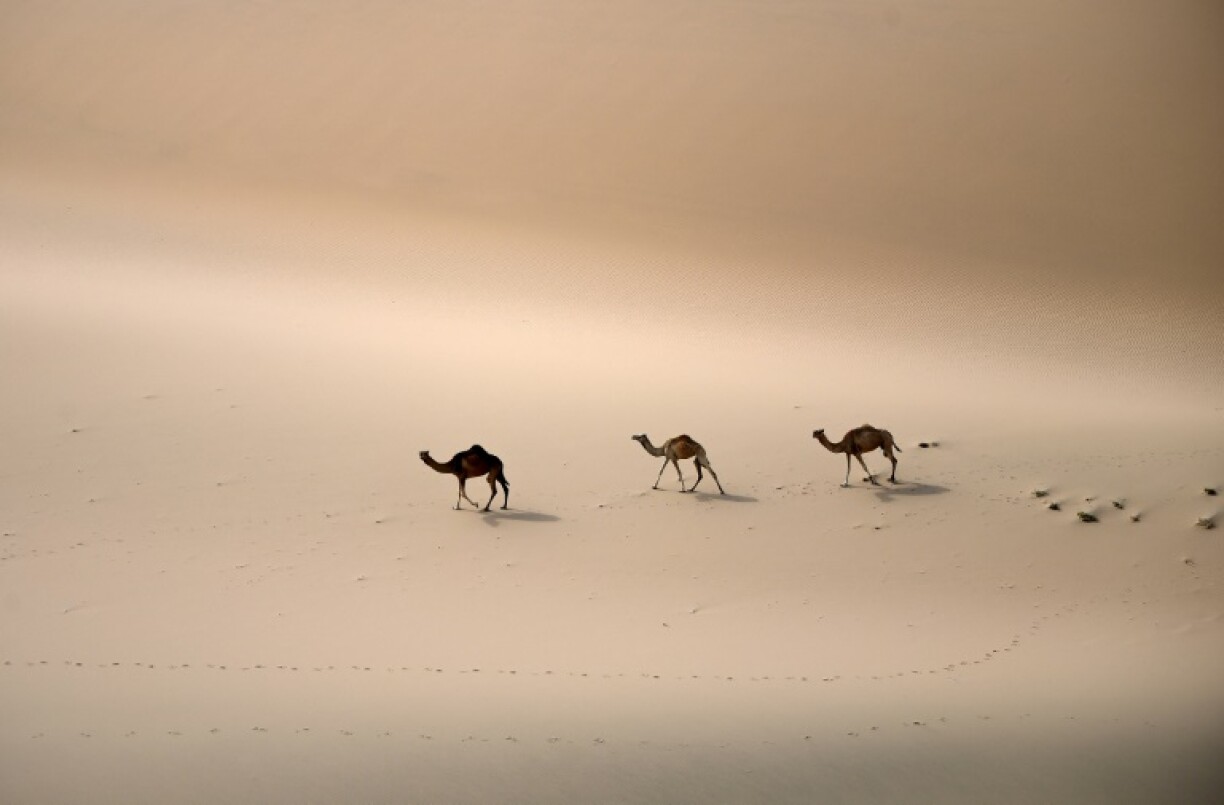 Saudi Arabia is home to one of the world's biggest deserts