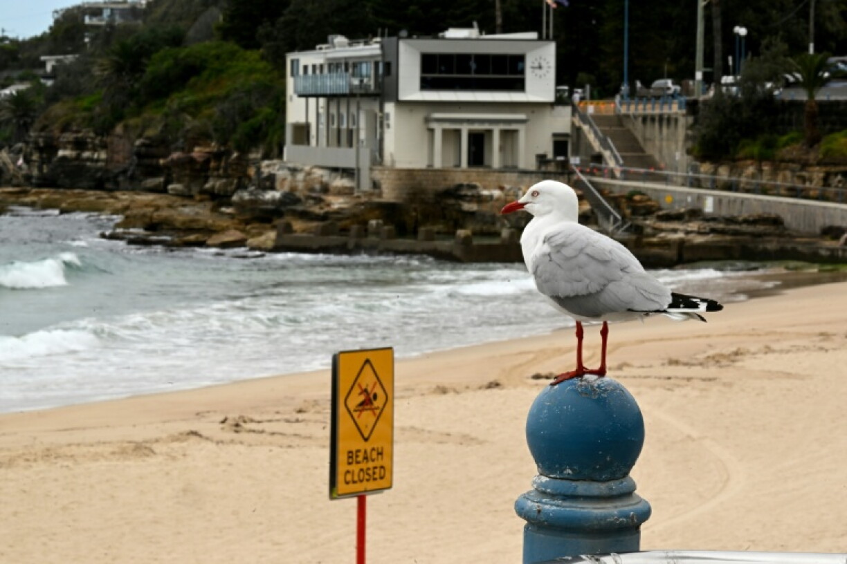Vue de la plage de Coogee à Sydney le 16 octobre 2024
