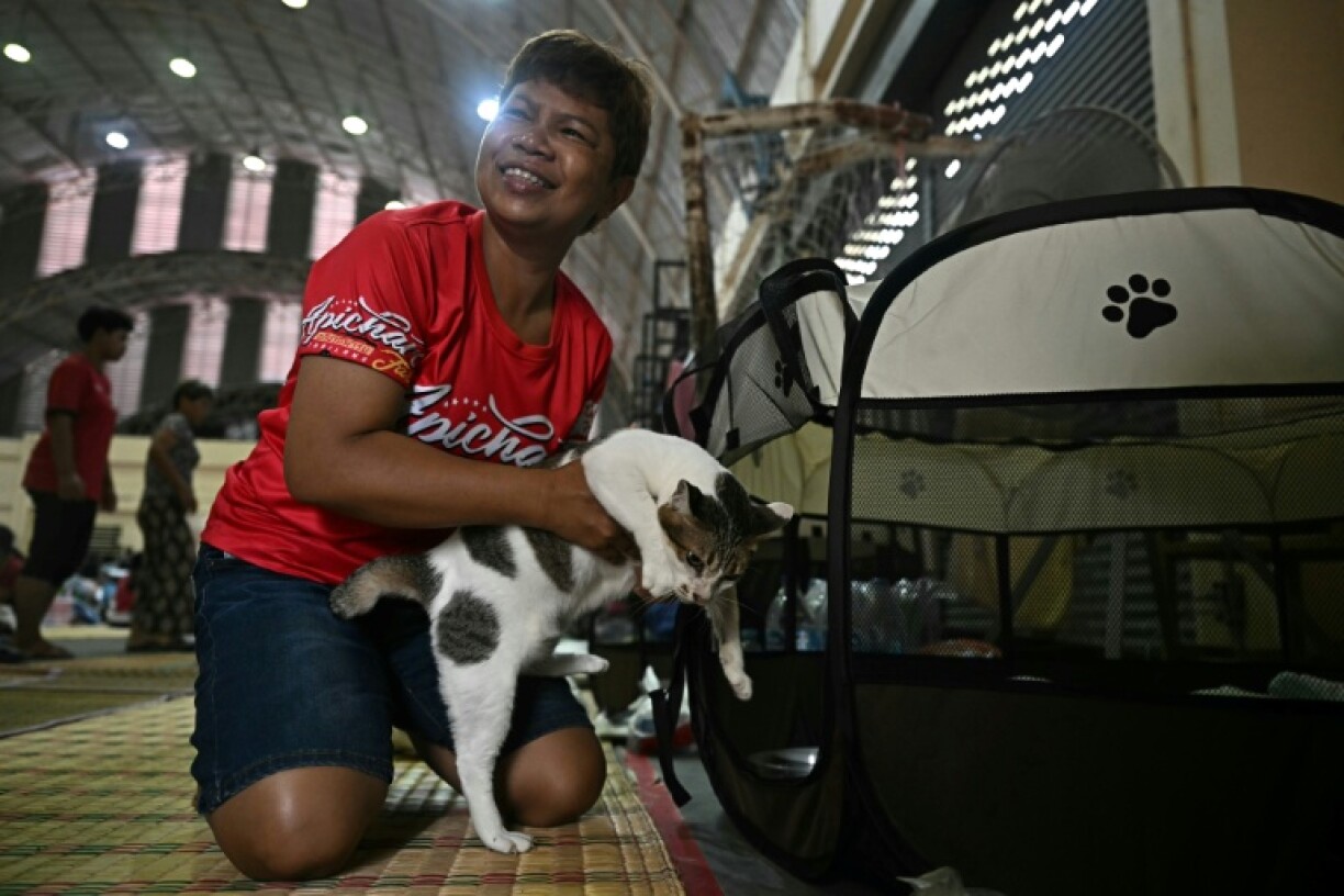 Thai seamstress Pornpan Sooksai did not hesitate to corral her quintet of cats to safety, even as the cross-border blasts from Cambodia rang out