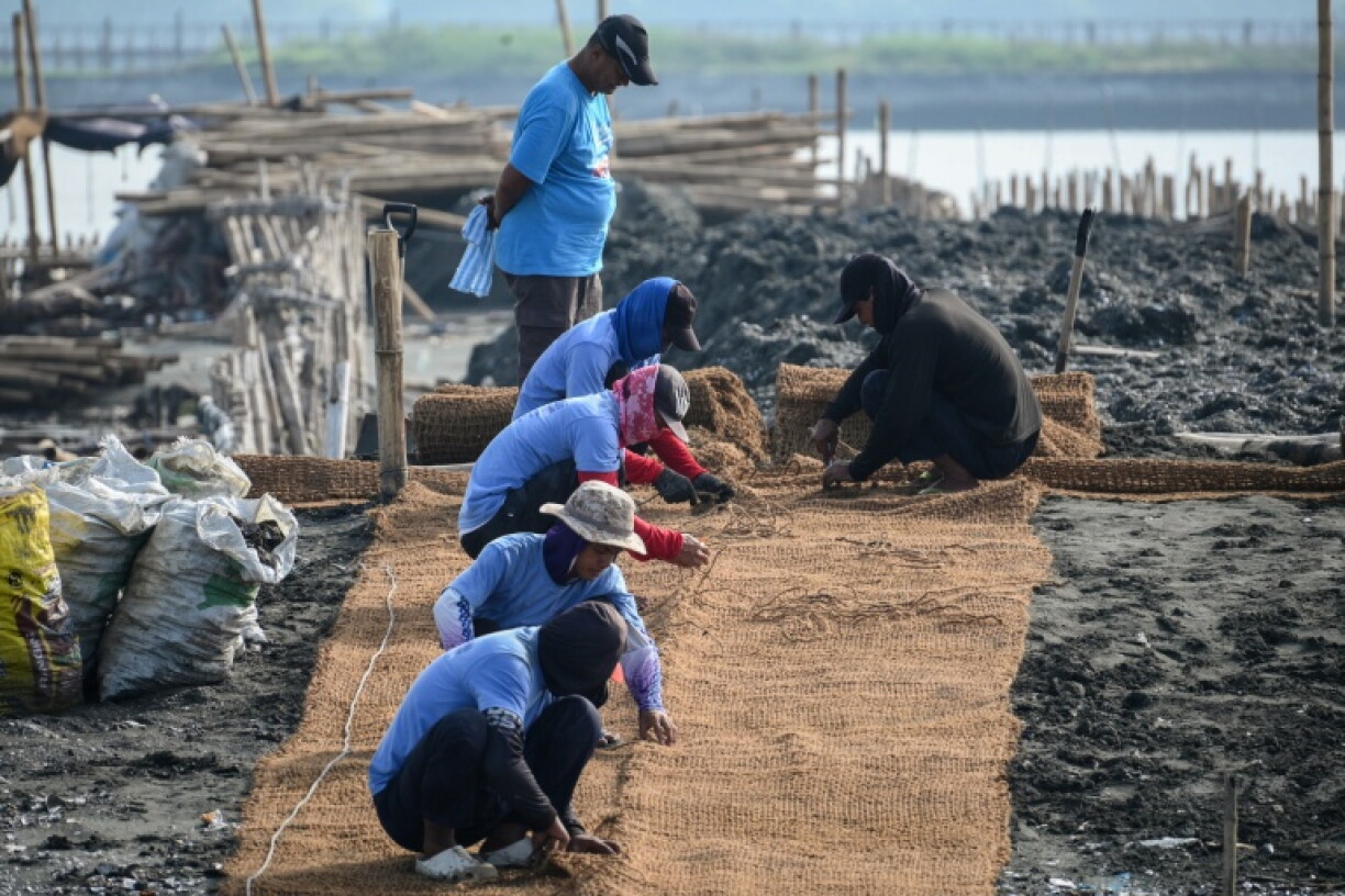 Workers lay coconut-fibre bags next to oyster shells on a breakwater at Pamarawan Island in Malolos City, in the Philippines Bulacan province