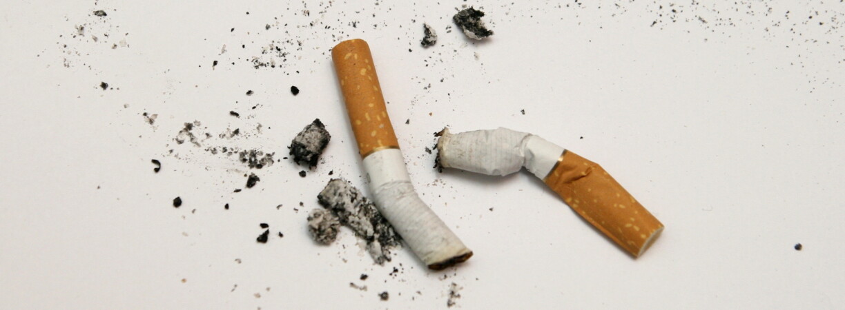 does zyn have tobacco in it How Zyn and other tobacco-free nicotine pouches may harm your health