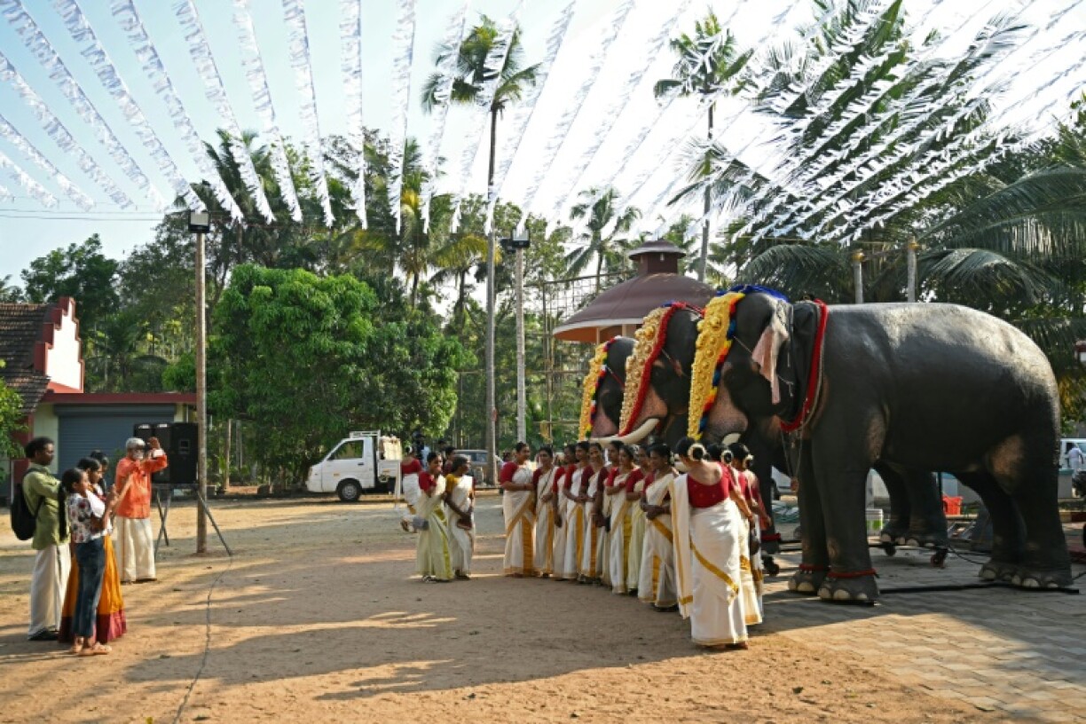 Women dressed in traditional attires pose with adorned robotic elephants newly provided by the Voice for Asian Elephants Society (VFAES), outside the Chakkamparambu Bhagavathy temple in Thrissur, in India's Kerala state