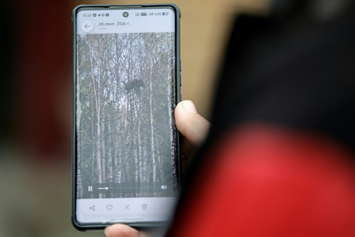 Tyurneva's bear sighting was one of several to spook Russians in recent weeks