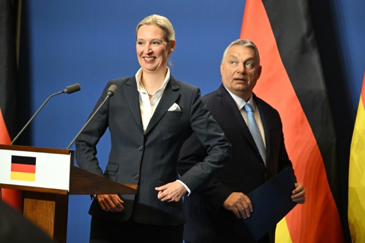Weidel in Budapest with Hungarian Prime Minister Viktor Orban on February 12, 2025