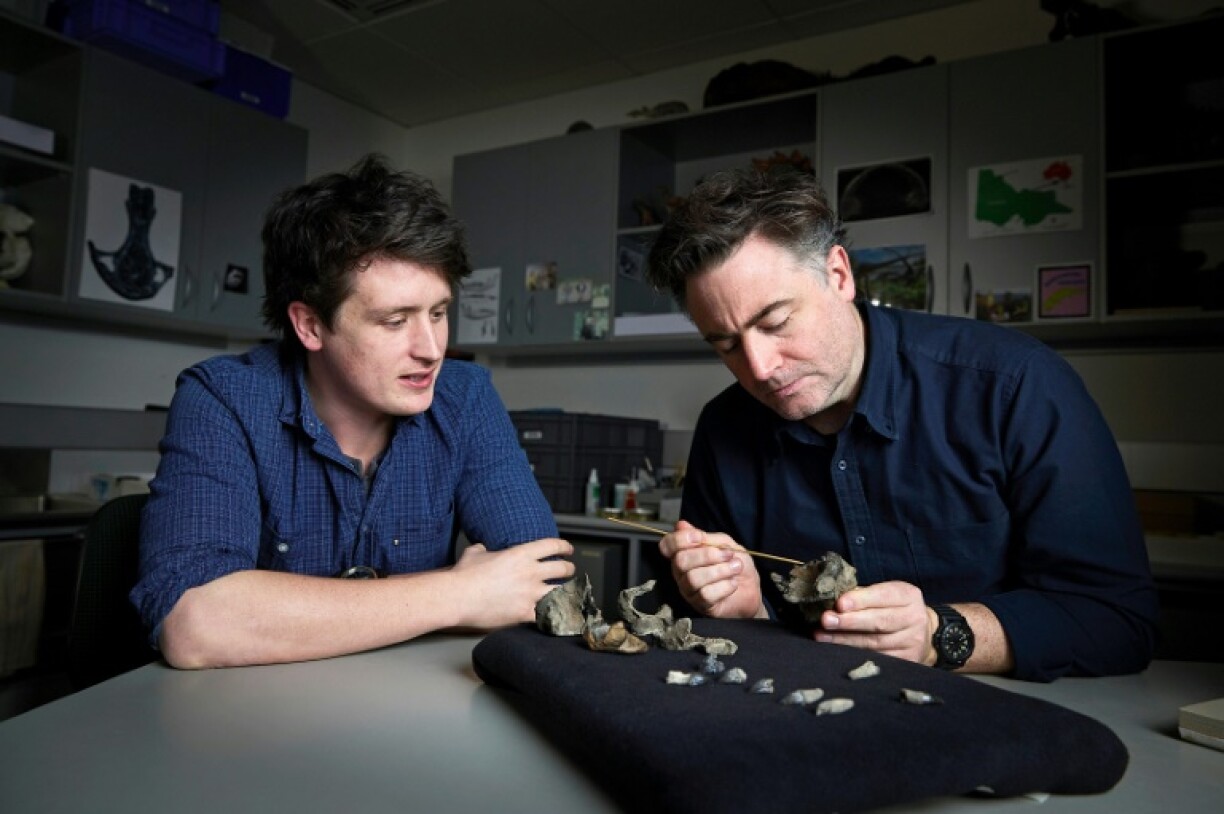 Museums Victoria Researcher Ruairidh Duncan (L) and Palaeontologist Erich Fitzgerald with the partial fossil skull and teeth of Janjucetus dullardi in Melbourne