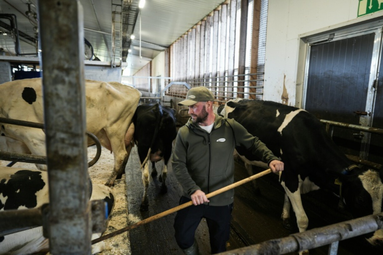 'The project is so massive that it's basically hard to really grasp,' said local farmer Joni Pitkanen