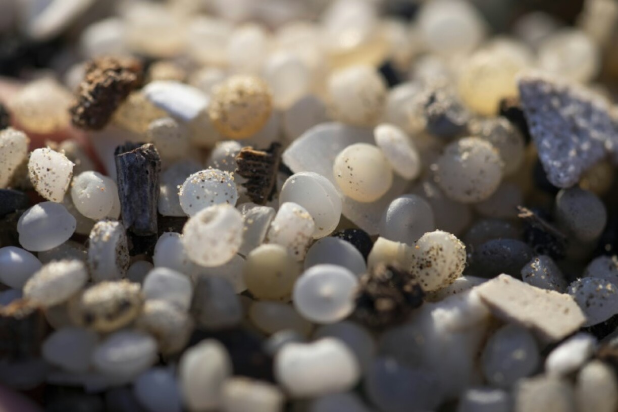 Industrial plastic pellets washed up on a Catalonian beach in 2024