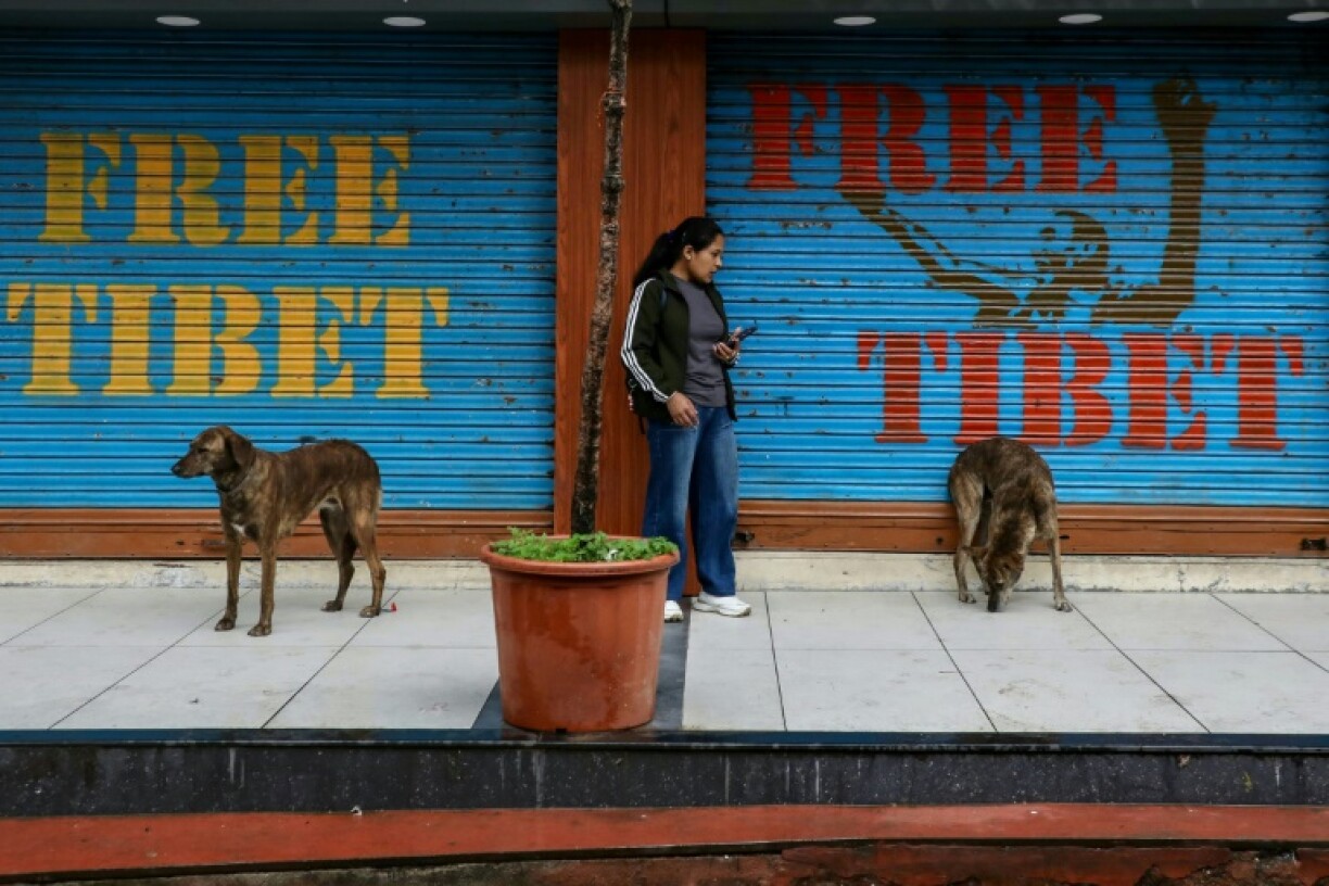 A woman stands next to the closed shops with 'Free Tibet' written on them in McLeod Ganj