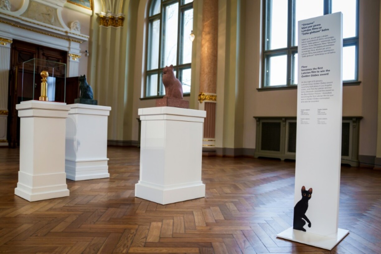 The international recognition has triggered a