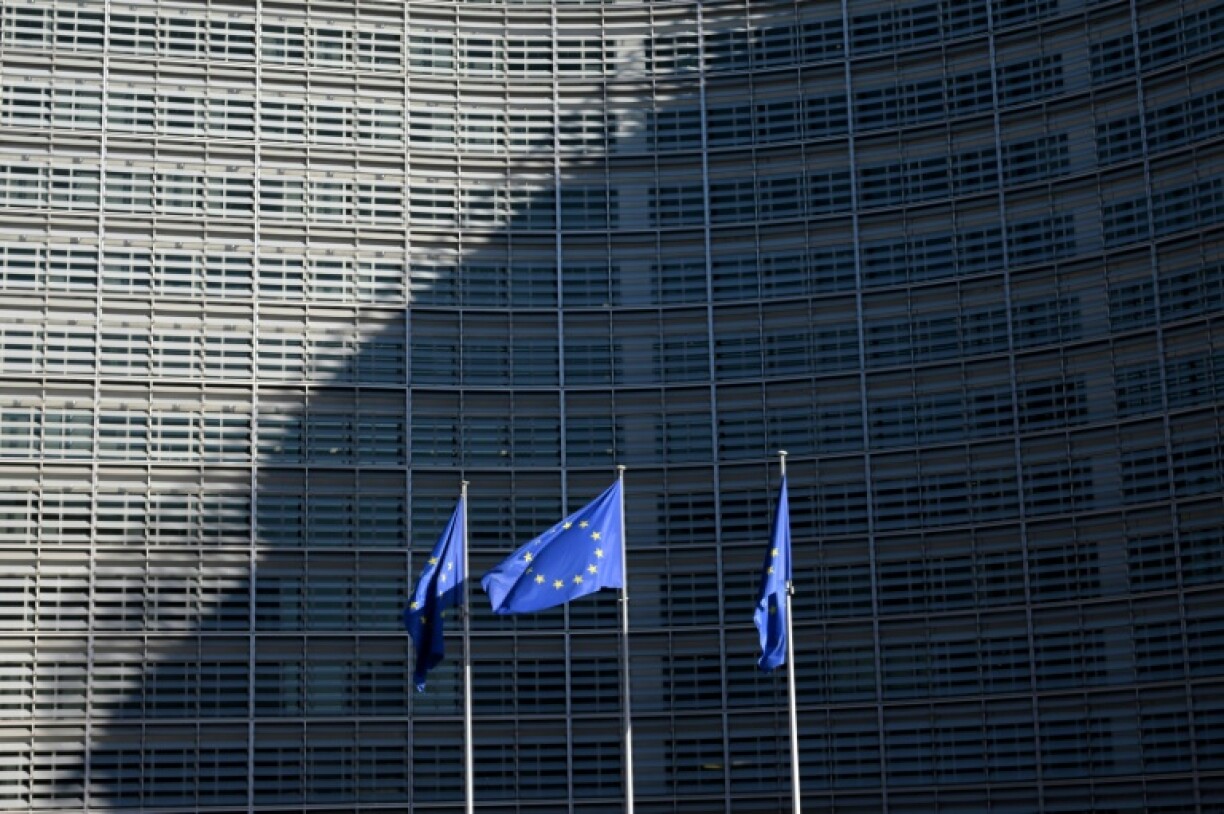There are allegations that some EU money given to NGOs was used to lobby European institutions