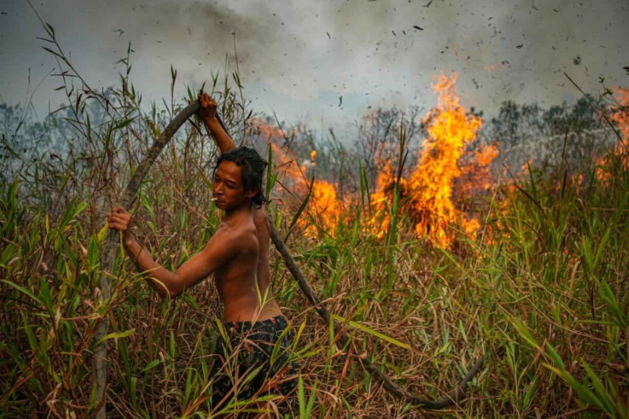 Between January and July, more than 202,000 hectares were razed by fire in Indonesia