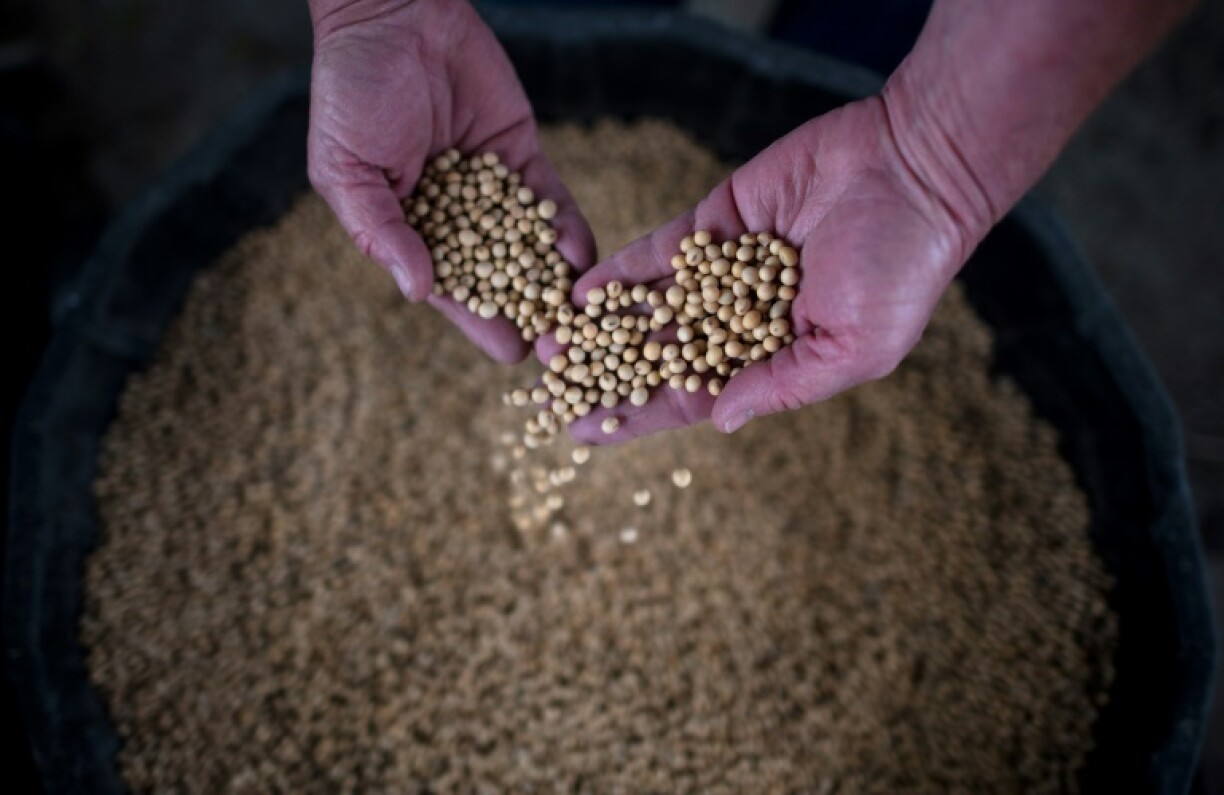 Farmers worry that China's retaliatory tariffs on American goods will reduce incentives to purchase US agricultural products