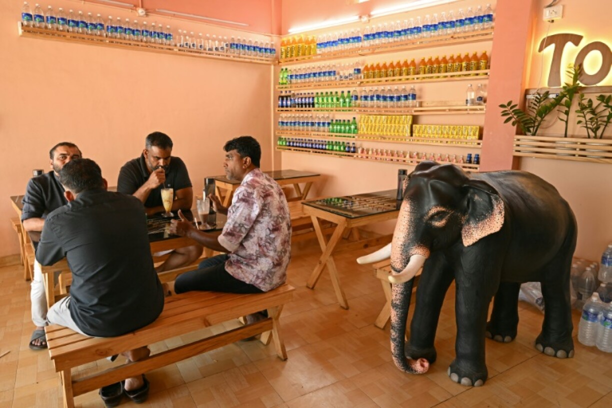 An elephant model in a coffee shop in Thrissur, in India's Kerala state