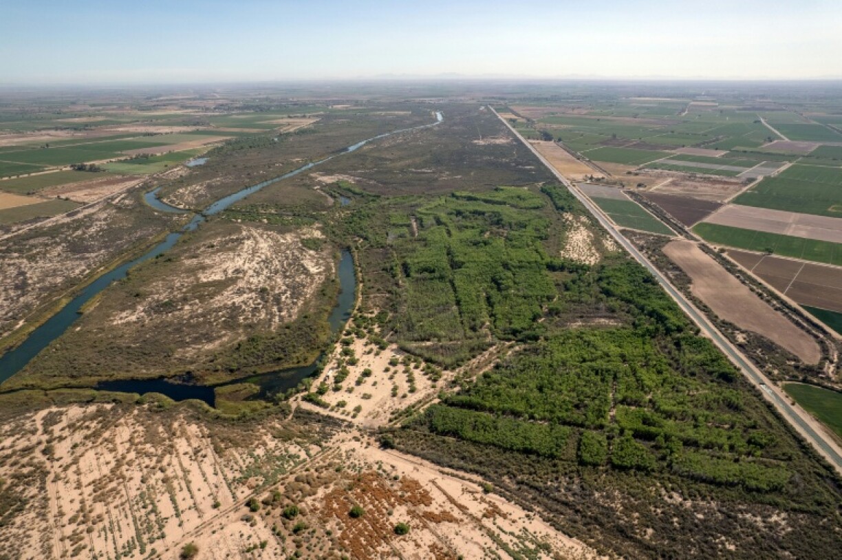 The Laguna Grande oasis in northwestern Mexico is at the core of a restoration project in the Colorado River Delta