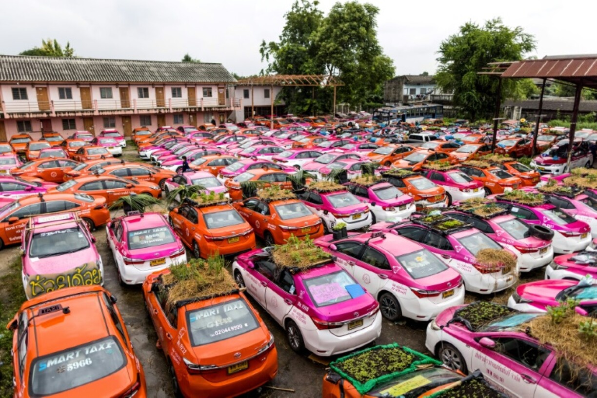 Les taxis potagers dans un garage de Bangkok, le 15 septembre 2021