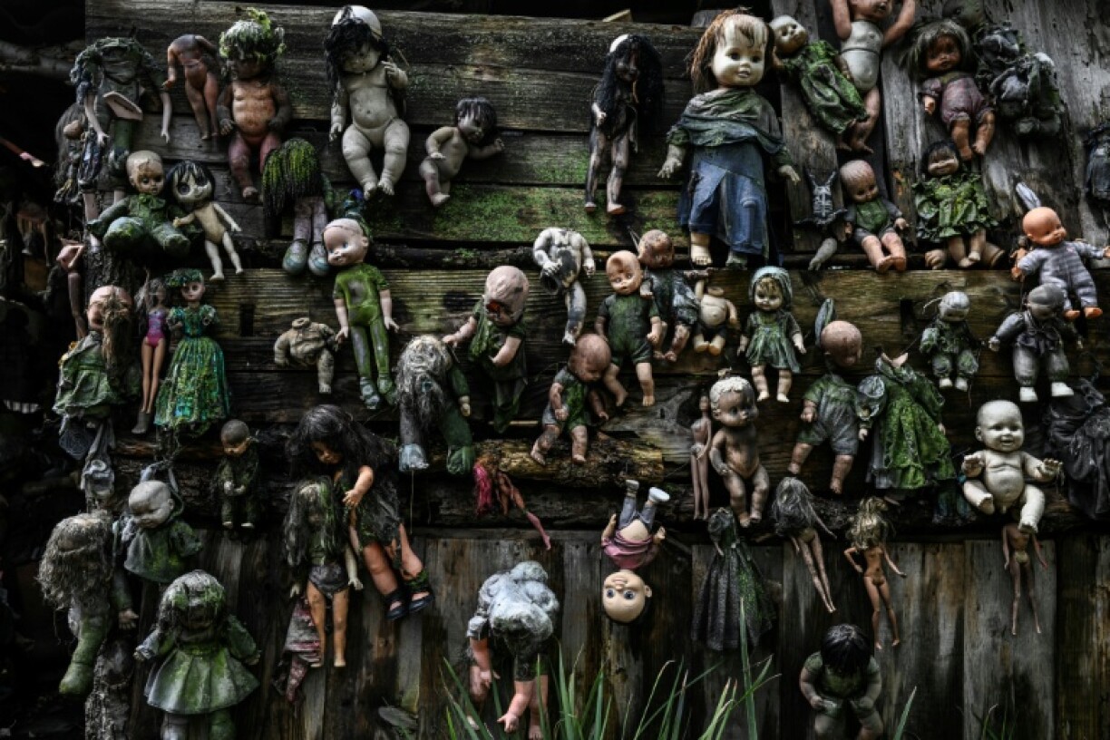 The Island of the Dolls, localed in the Xochimilco canals of Mexico City, has hundreds of broken and deteriorating dolls hanging from trees
