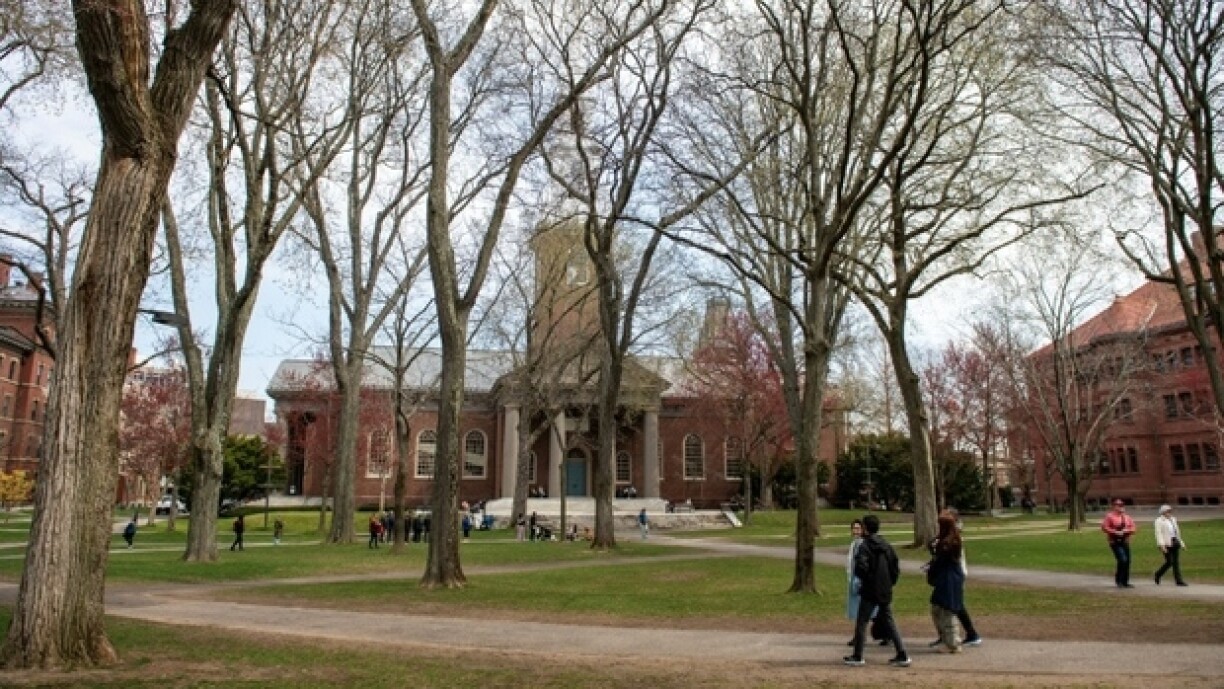 Le Harvard Yard du campus de l'Université Harvard à Cambridge, le 15 avril 2025 dans le Massachussetts