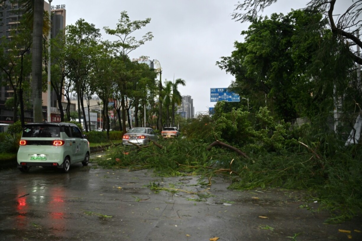 Tall fallen trees partially block one of the main roads leading out of Yangjiang city centre, shortly after Typhoon Ragasa's ferocious winds died down