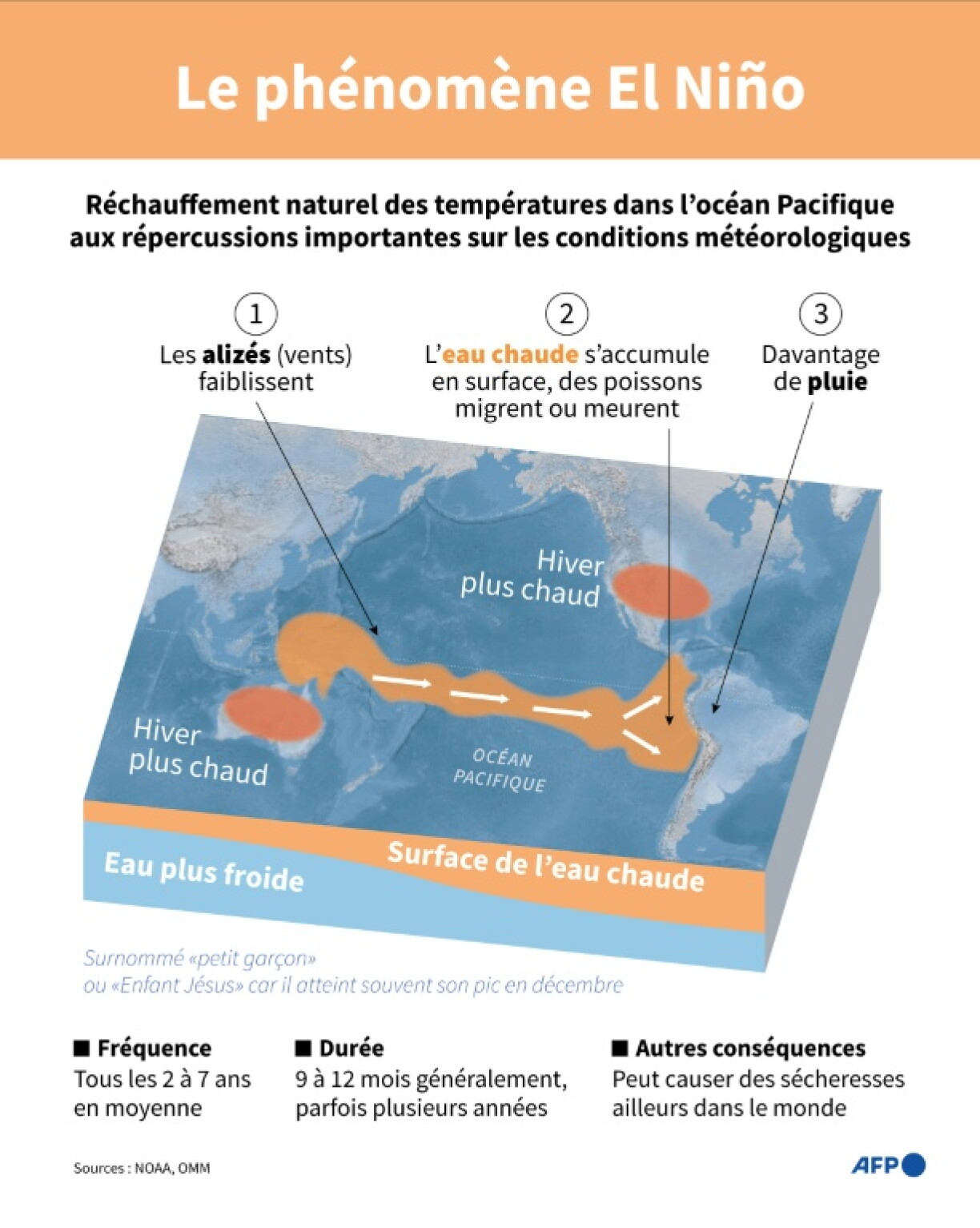 Graphique expliquant le phénomène El Niño dans l'océan Pacifique
