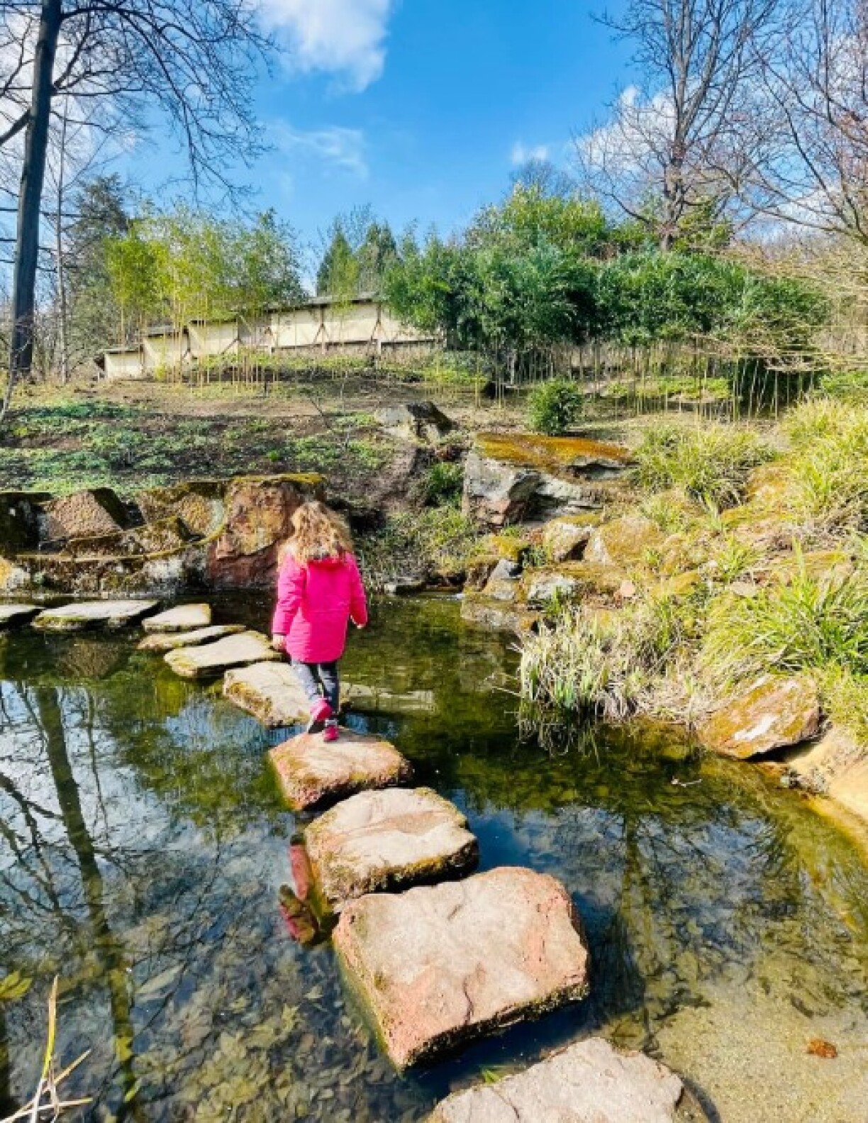 Japanese Garden Kaiserslautern