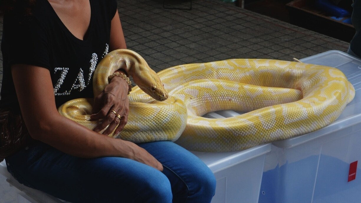 Image d'illustration