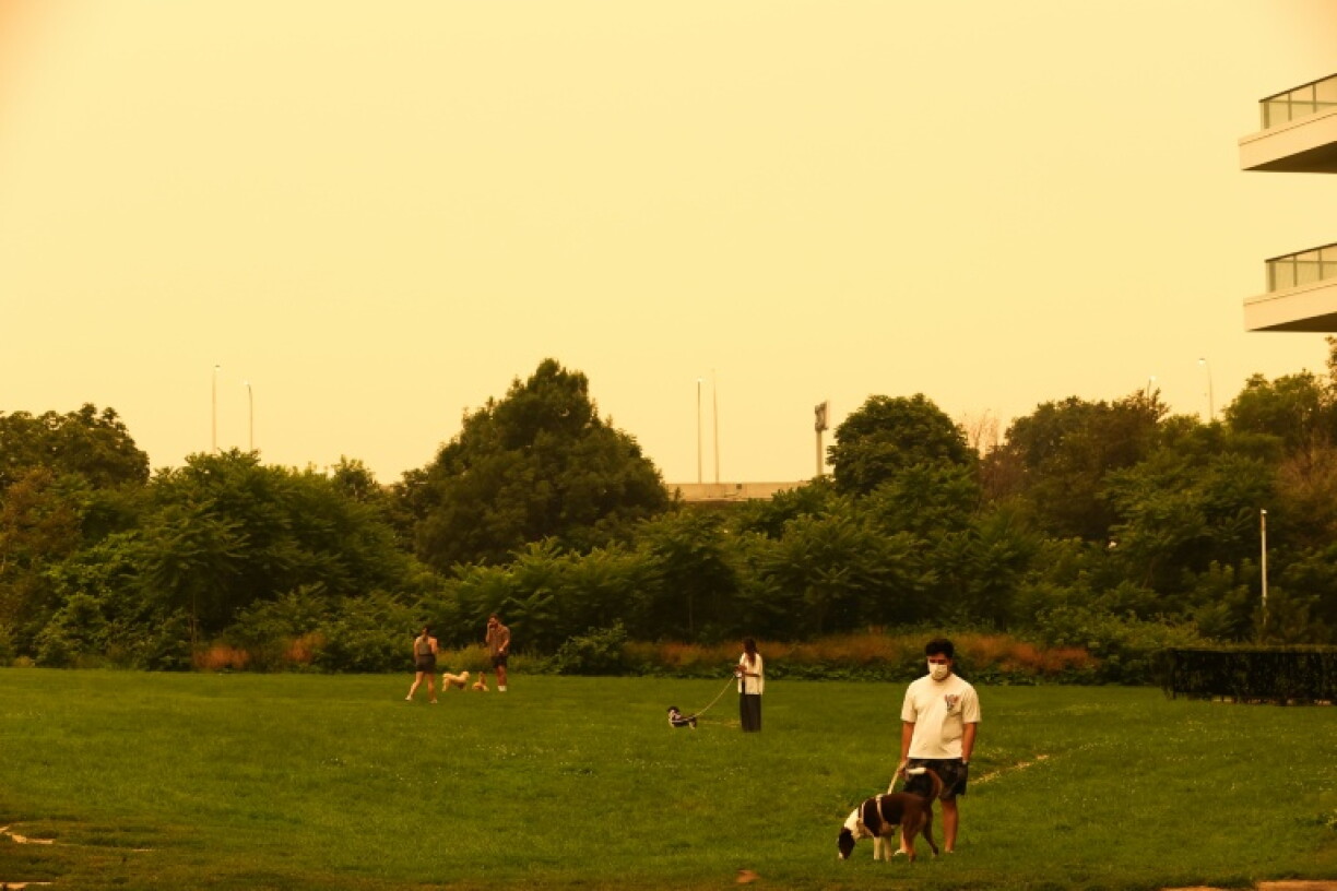 Des habitants promènent leurs chiens dans un parc du centre-ville de Toronto envahi par la fumée des feux de forêt en Ontario, le 15 juillet 2026 au Canada