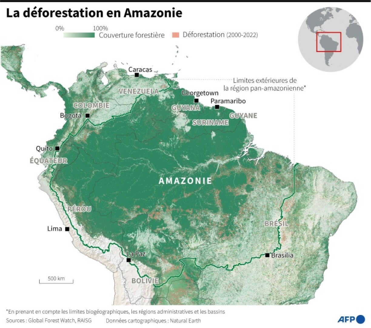 La déforestation en Amazonie