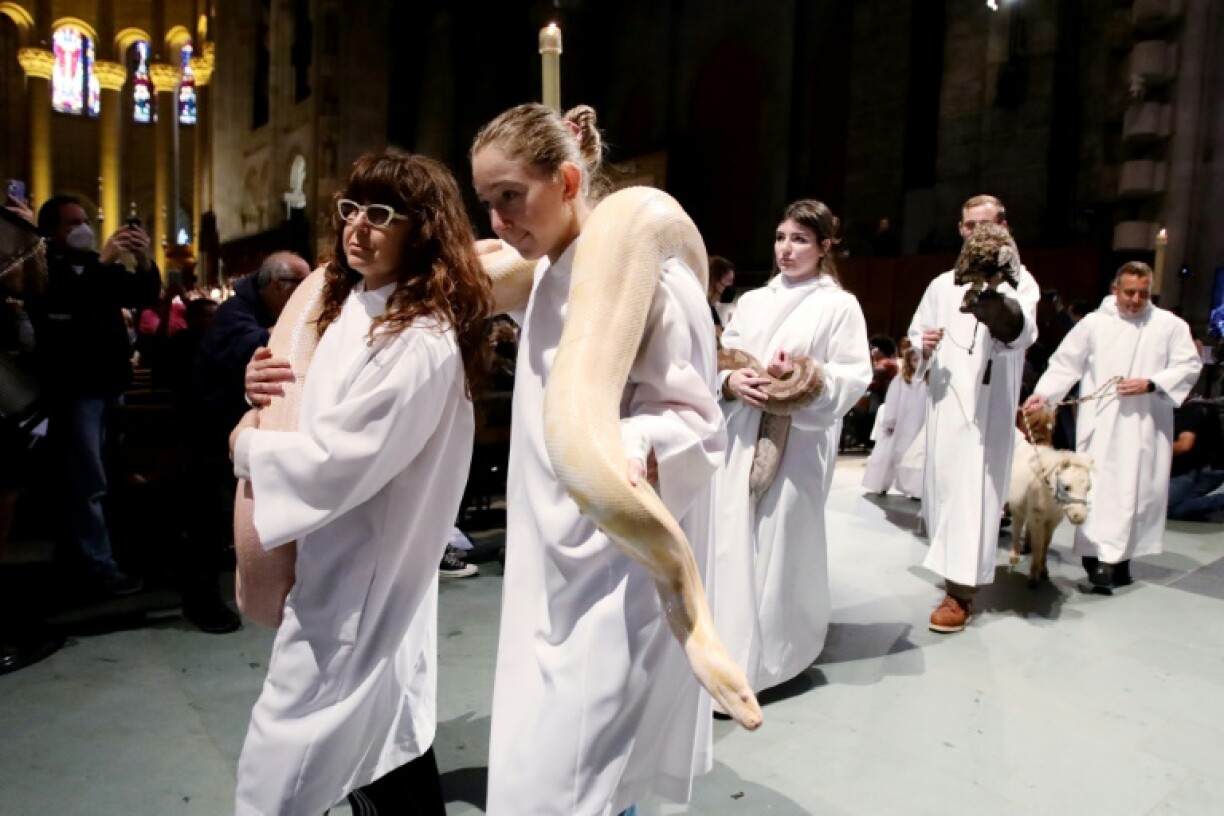 Des animaux, dont un grand python jaune, sont menés dans la cathédrale Saint-Jean le Divin de New York, le 1er octobre 2023