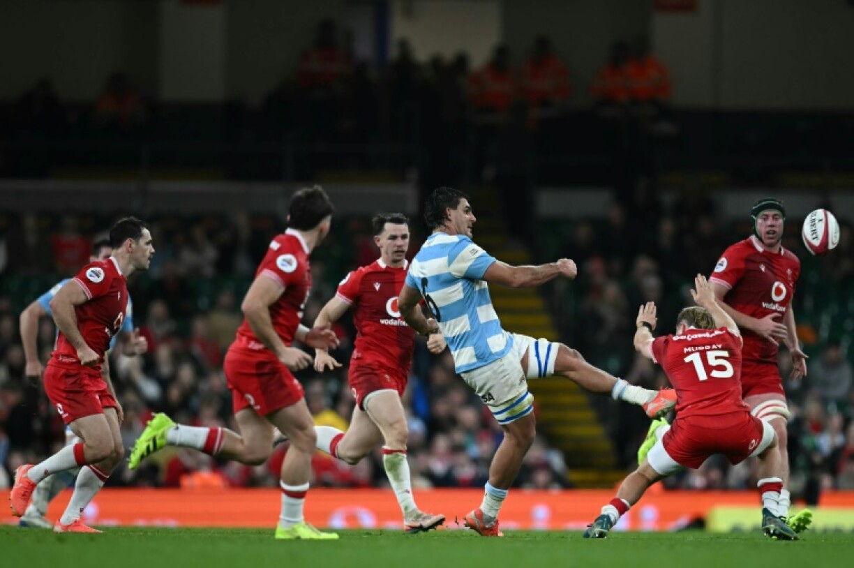 Pablo Matera chips ahead to set up a try for wing Mateo Carreras (not pictured) against Wales in Cardiff