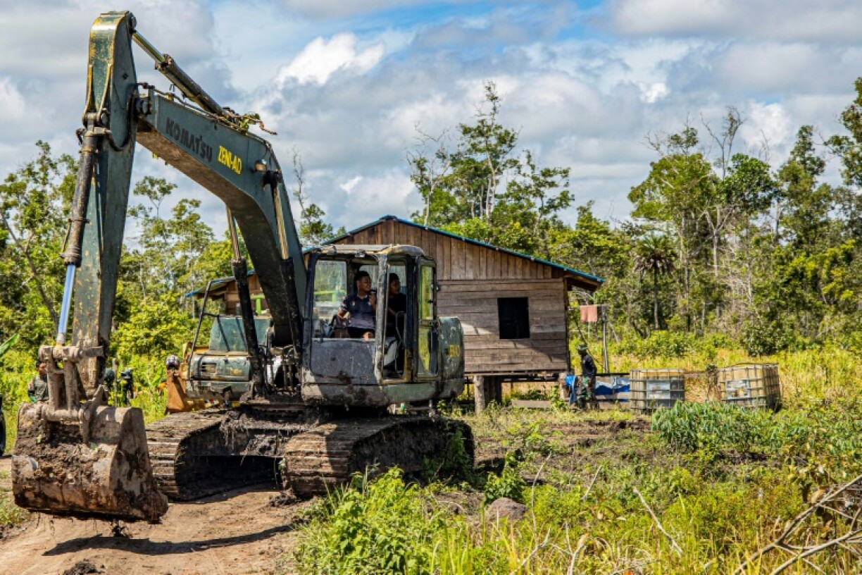 A military excavator used to clear forests in a concession area in South Papua