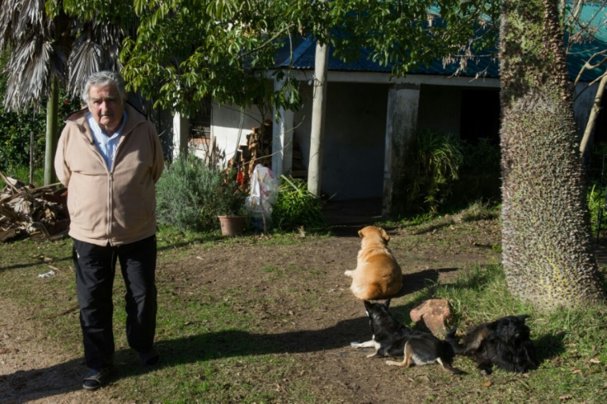 Uruguayan President Jose Mujica walks in the garden at his house on the outskirts of Montevideo in July 2014