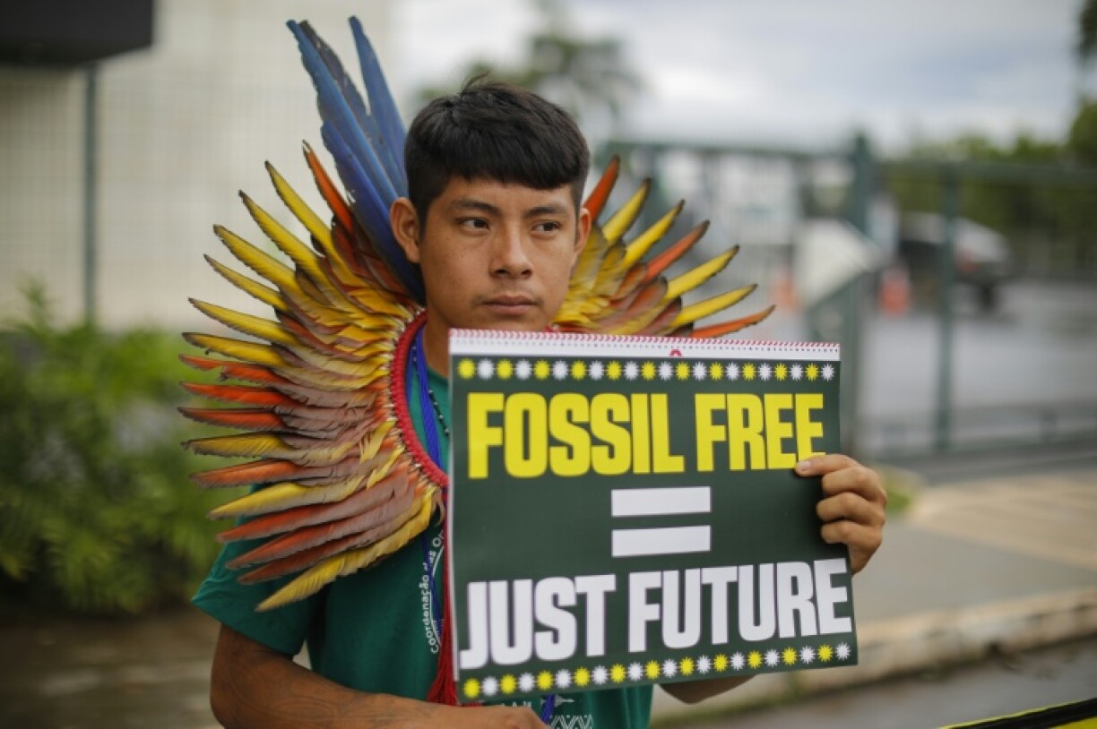 Brazil, India, Italy and Japan have vowed to dramatically increase production and consumption of renewable fuels ahead of the UN's planned climate summit in Belem, Brazil