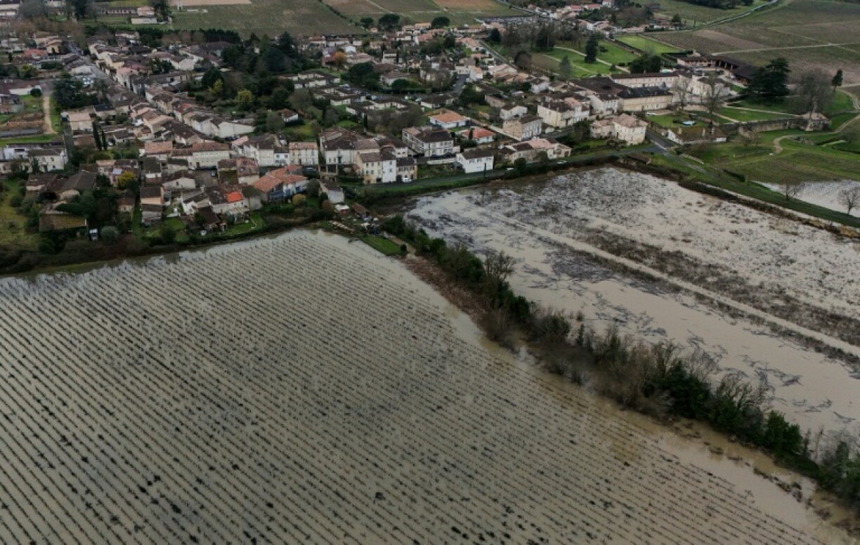 Des vignes inondées le long de la Garonne à Portets près de Bordeaux, le 5 février 2026