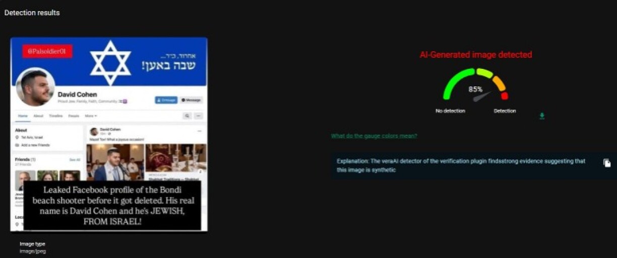 Screenshot of results from the veraAI detection tool