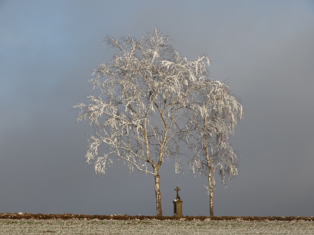 Photo prise près d'Eschdorf/Merscheid ce lundi 12 novembre.