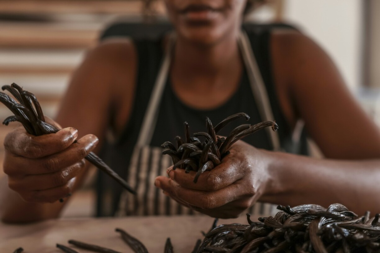 Vanilla is the second most expensive spice after saffron