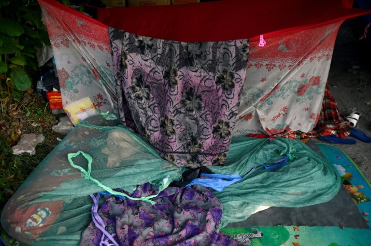 Tent-dwellers are needled by mosquitos at night before rising at dawn to line up for aid