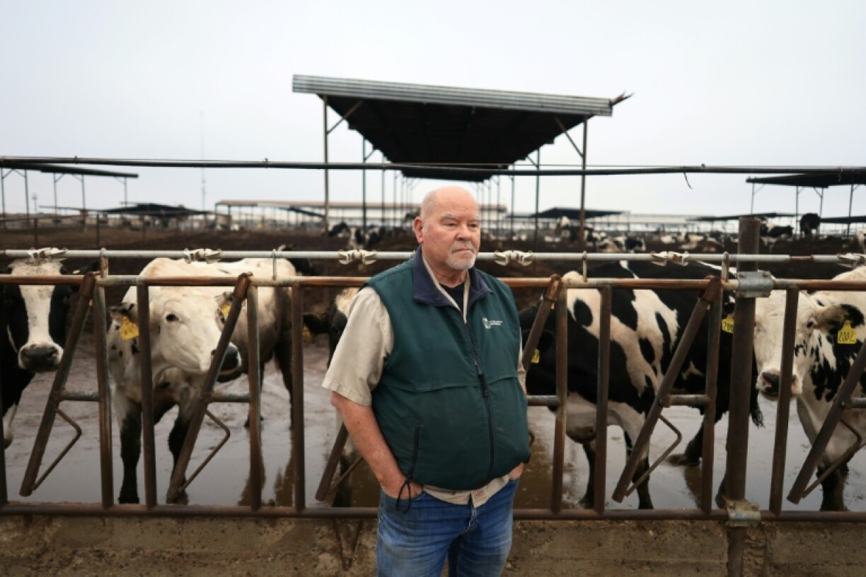 Dairy farmer Tom Barcellos told AFP: 'Those that have the power know we're not going to go raid agriculture, because that's the food source for the American people, and they don't want to raise the cost any more than it needs to be'
