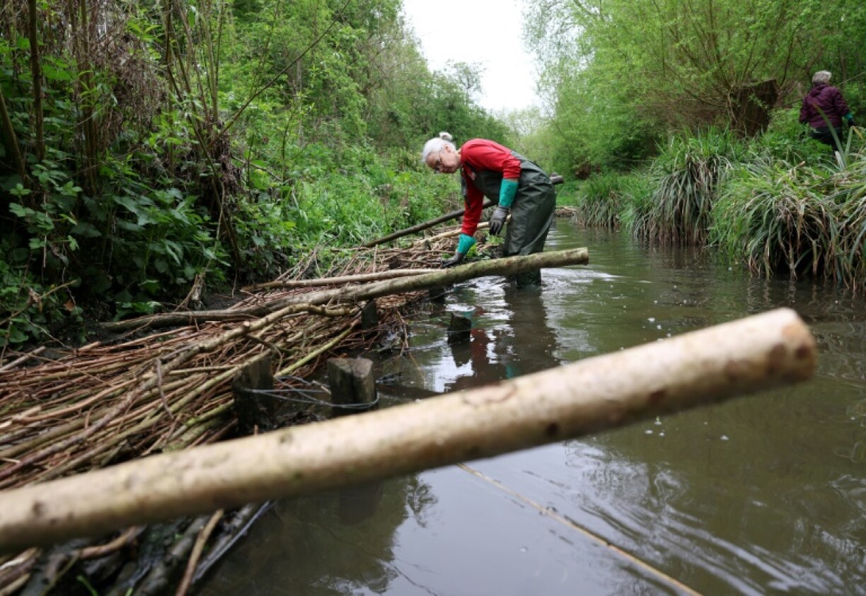 A volunteer constructs a natural flood management feature on the Saffron Brook in Leicester