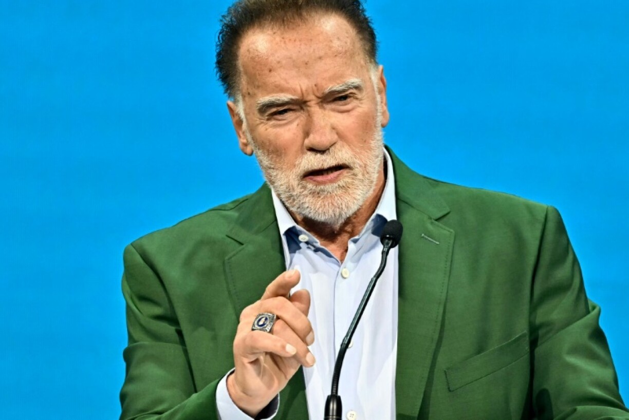 Schwarzenegger's announcement is being broadcast in carriages and stations of all Vienna public transport