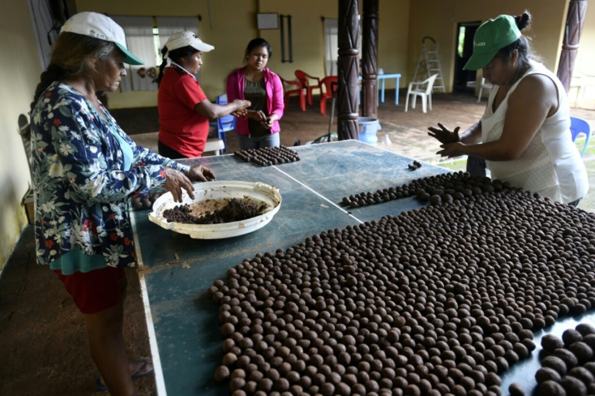 Women make seed bombs with soil to reforest areas affected by wildfires in Santa Ana de Velasco in eastern Bolivia's tropical grasslands