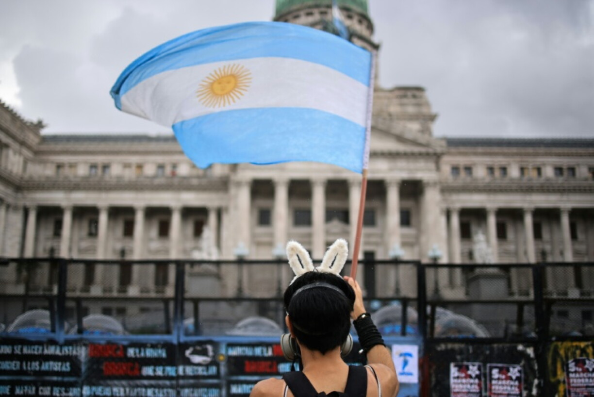 A person waves an Argentine flag during a demonstration outside parliament for increased spending on public universities